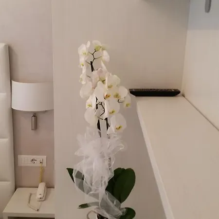 Acapulco Hotel 3*